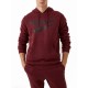 REEBOK RI FLC Big Logo Hood
