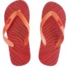 BODYTALK SDL UNISEX ΣAΓΙΟΝΑΡΑ
